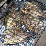 fish fry small